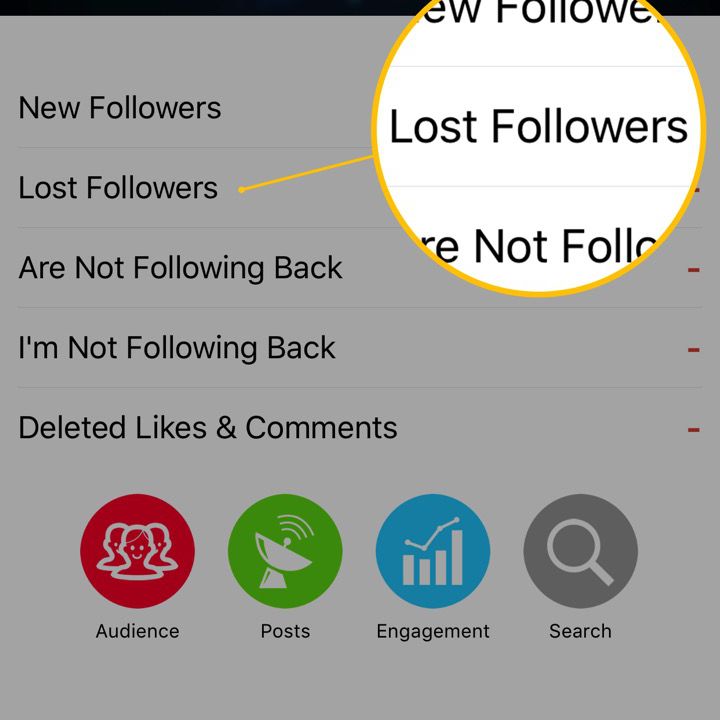 Skärmdump av appen som visar fliken Lost Followers