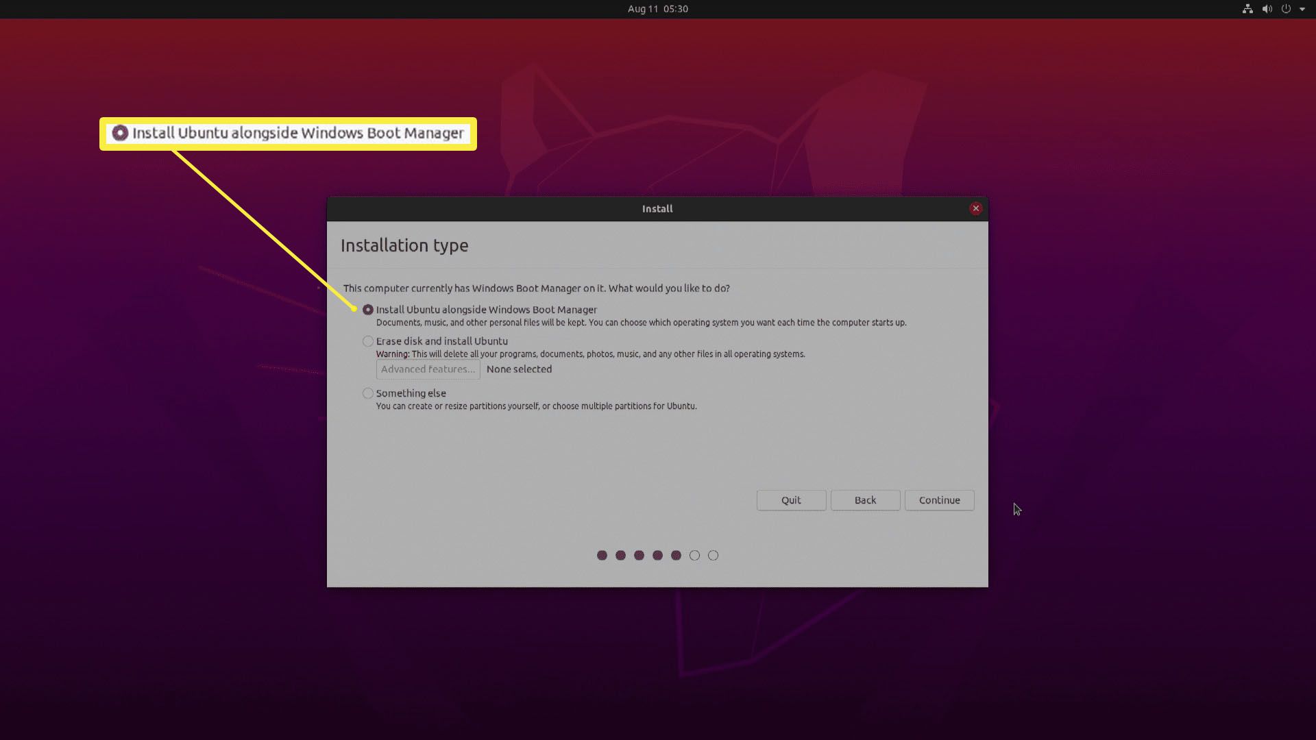 En skärmdump av Ubuntu-installationstyper.