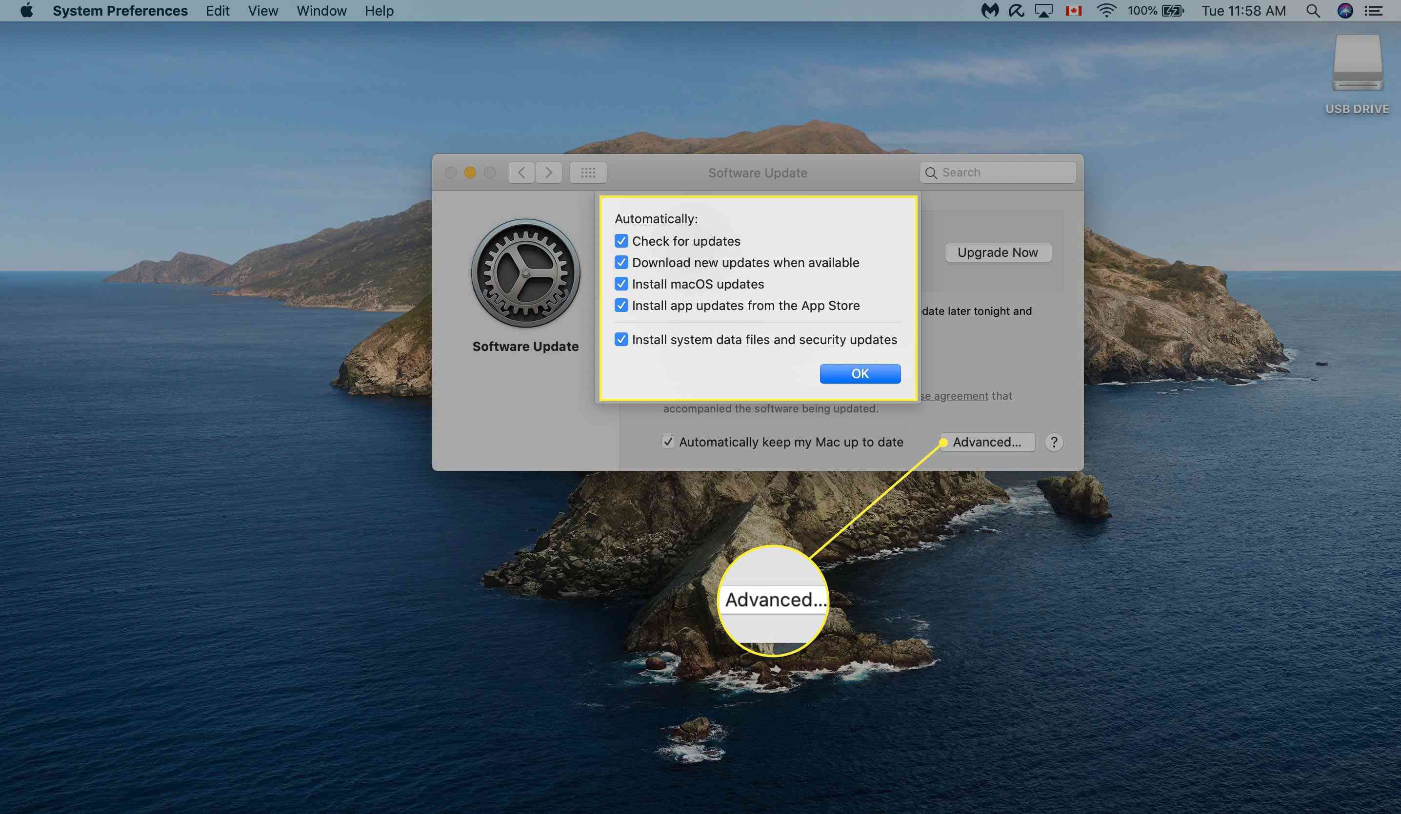 Välja avancerade alternativ under Mac Software Update.