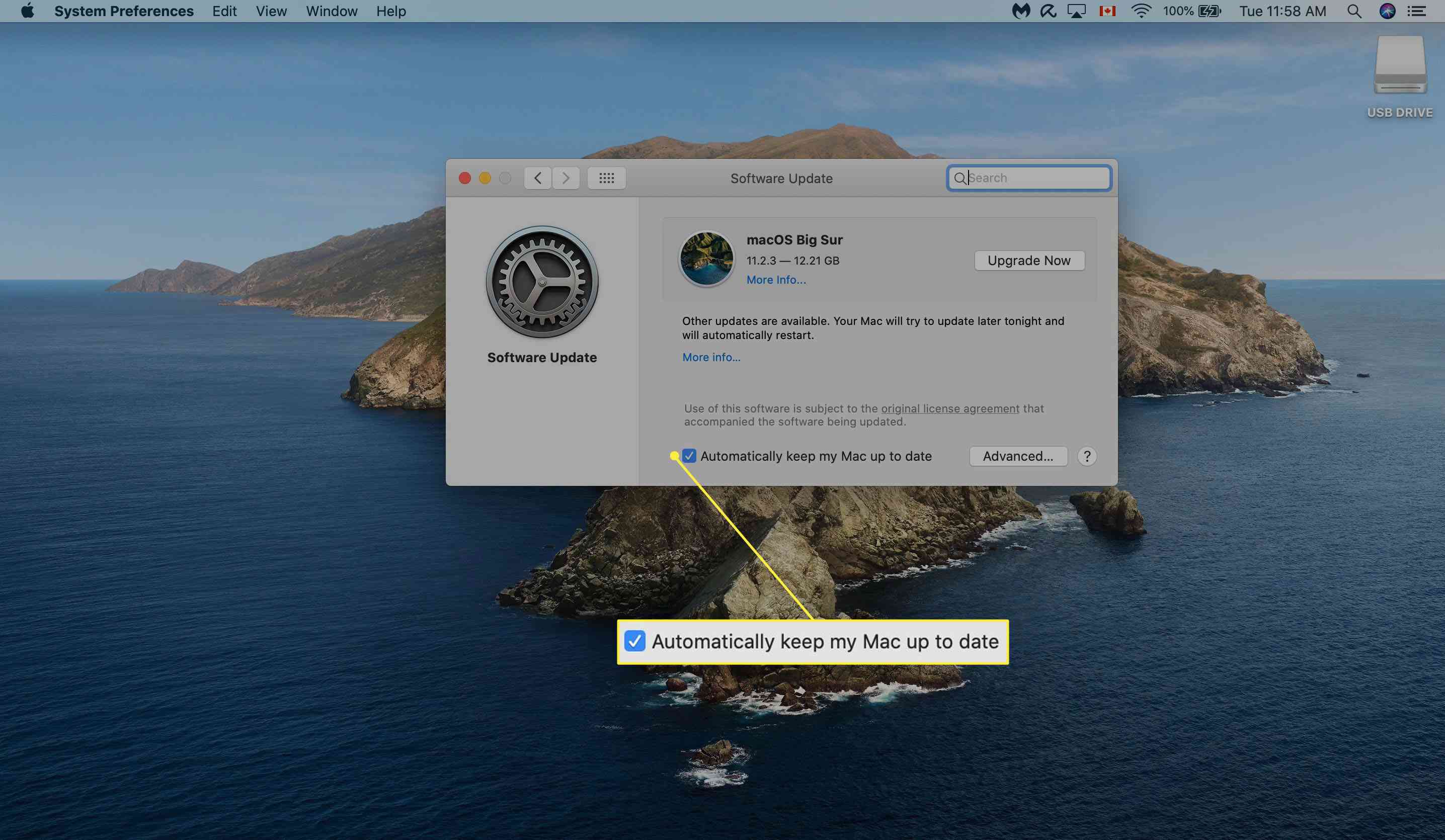 Avmarkerar automatiska uppdateringar under Mac Software Update.