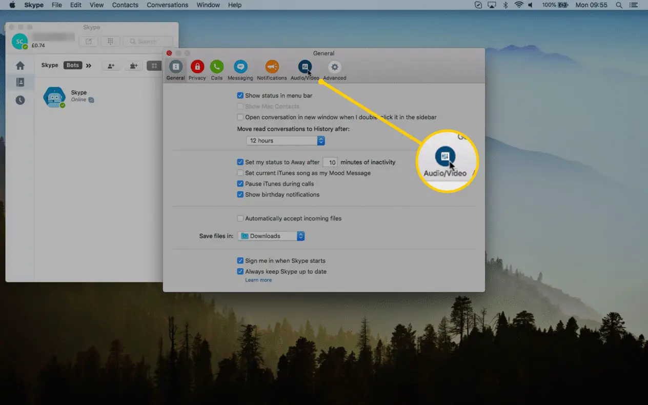 Ljud / video-ikon på macOS-versionen av Skype