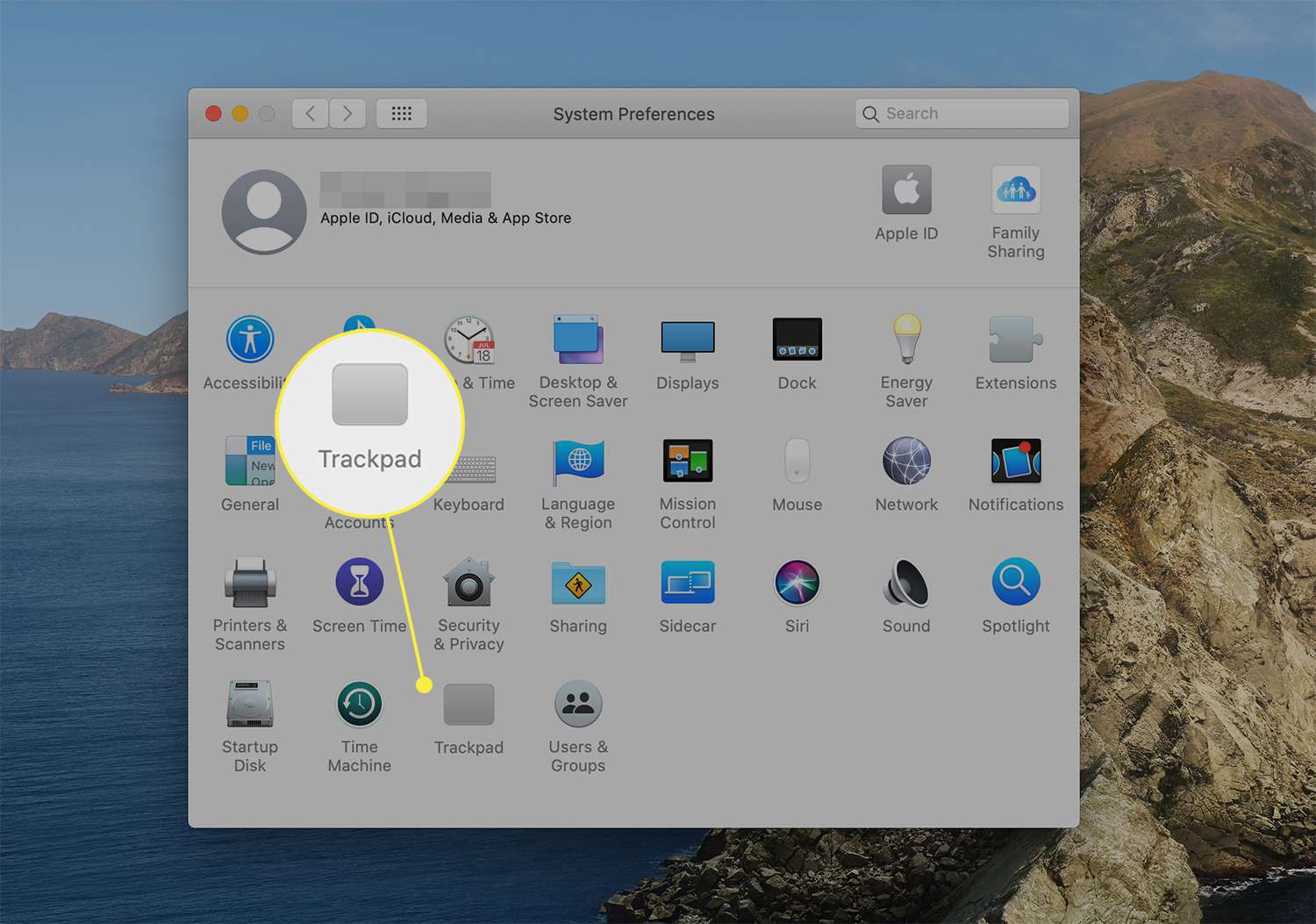 Styrplattans ikon markerad från macOS-systeminställningar