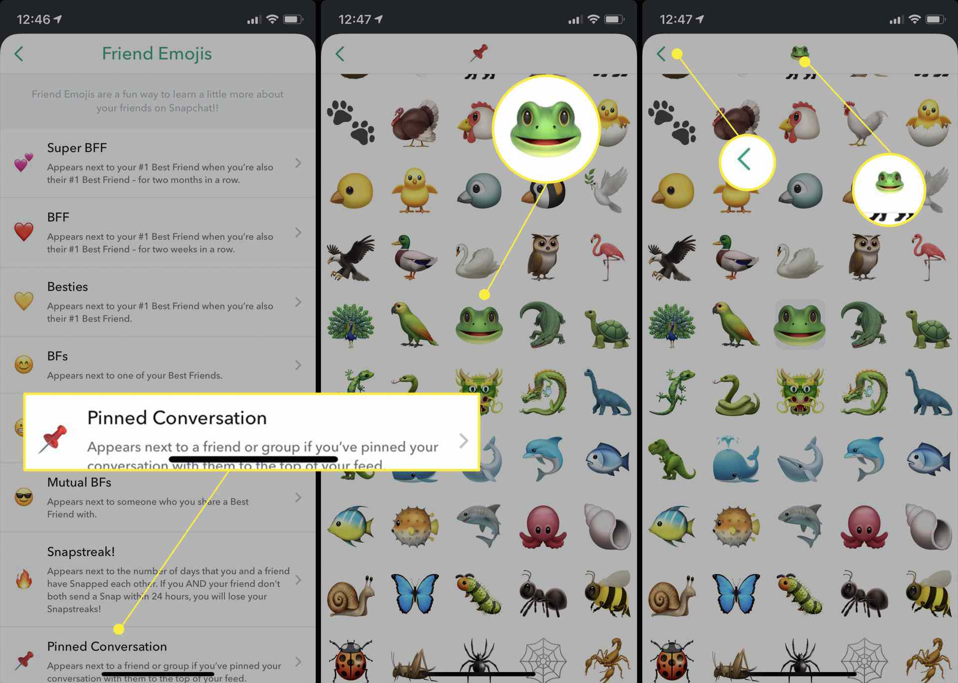 Snapchat-inställningar med "Pinned Conversation", en groda-emoji och bakåtpilen markerad