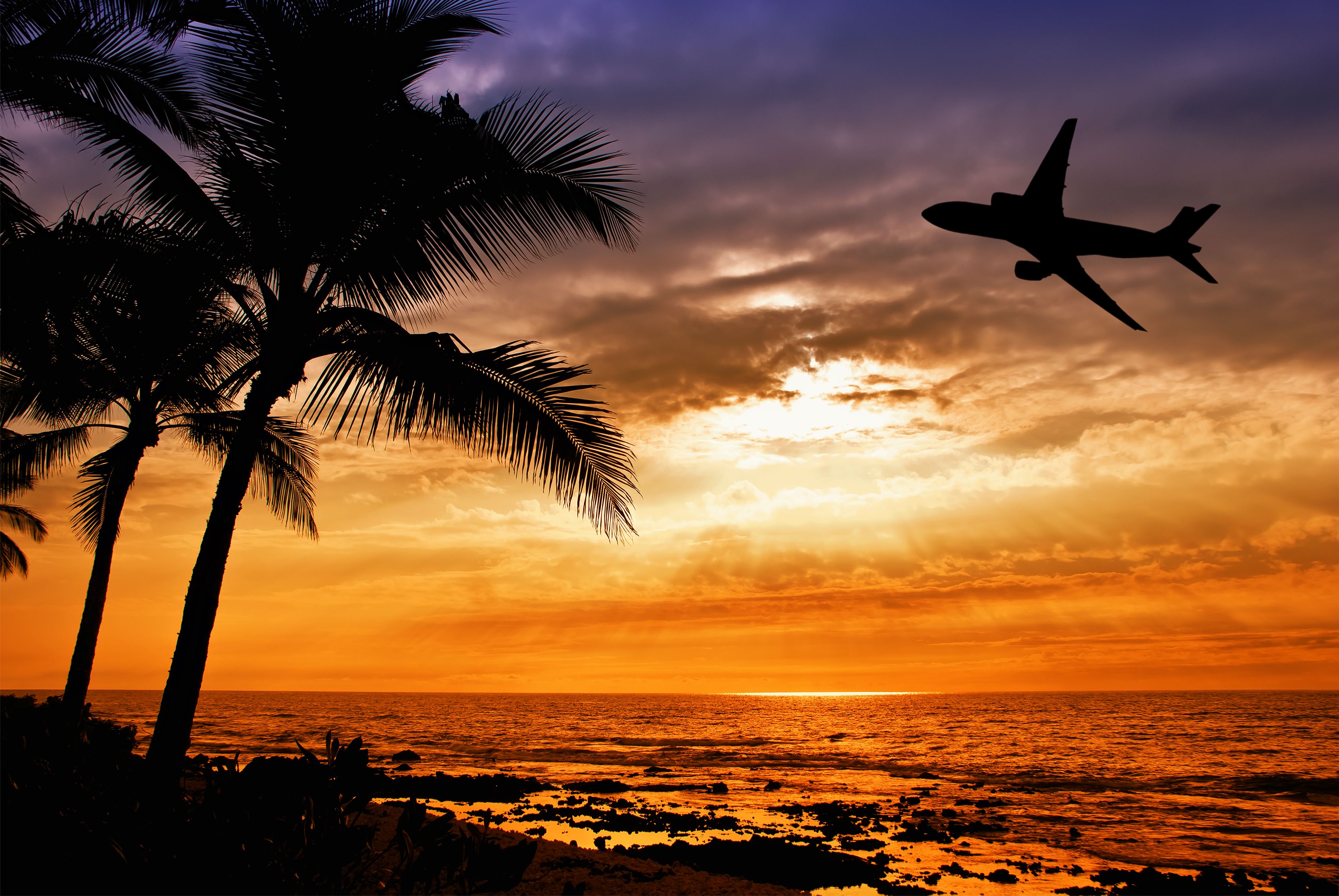 Solnedgång med palmträd och flygplankonturer