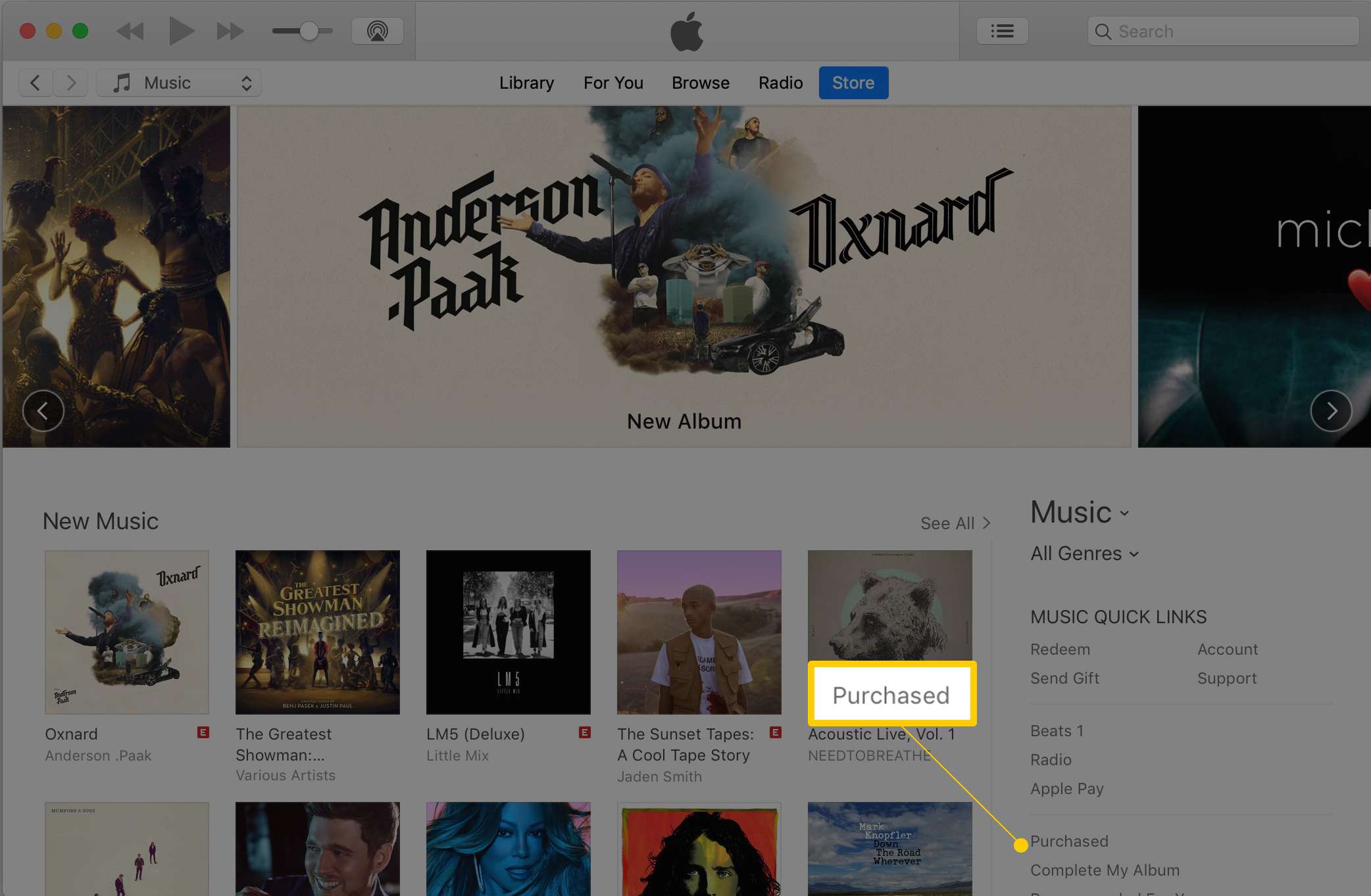 Köpt länk i iTunes Store via macOS skärmdump