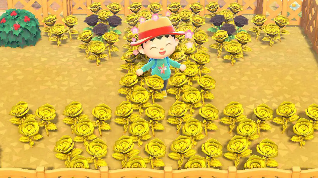 Animal Crossing karaktär står i fält av gyllene rosor
