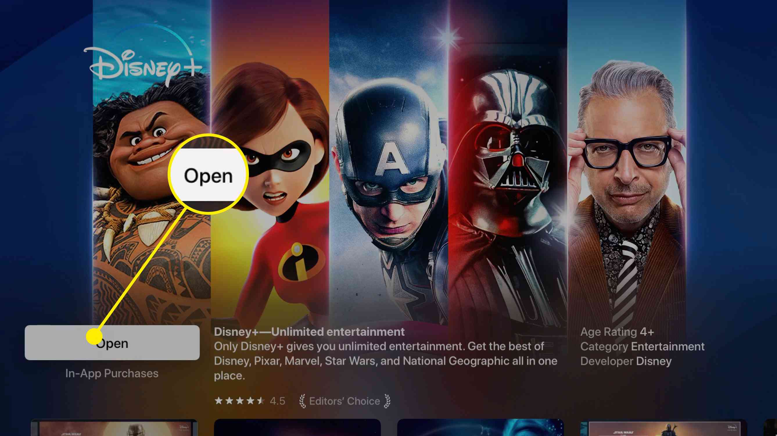 Skärmdump av Disney + i Apple TV App Store efter nedladdning