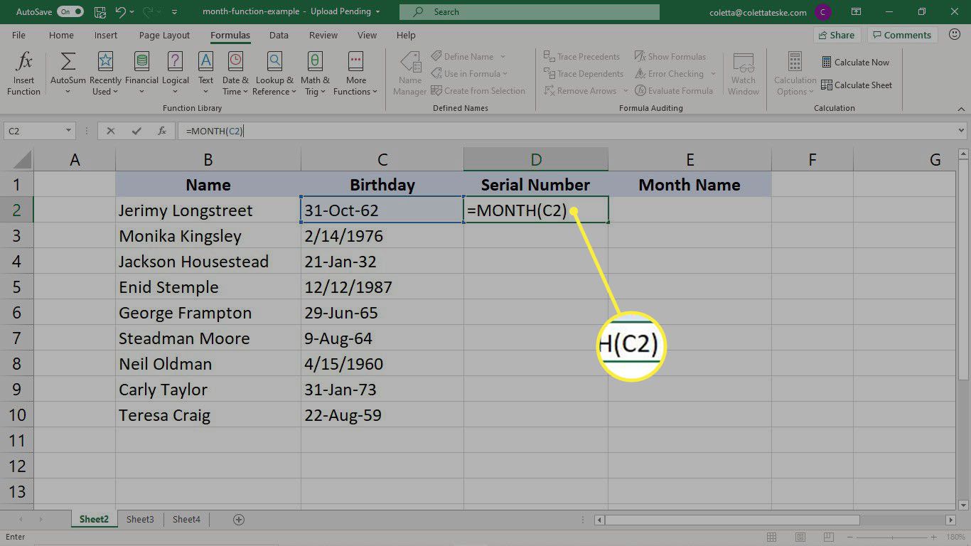 Ange månadsfunktionen i Excel