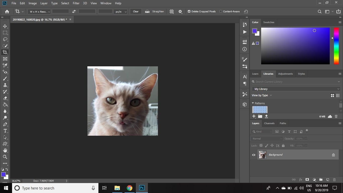En beskuren bild av en katt i Photoshop CC
