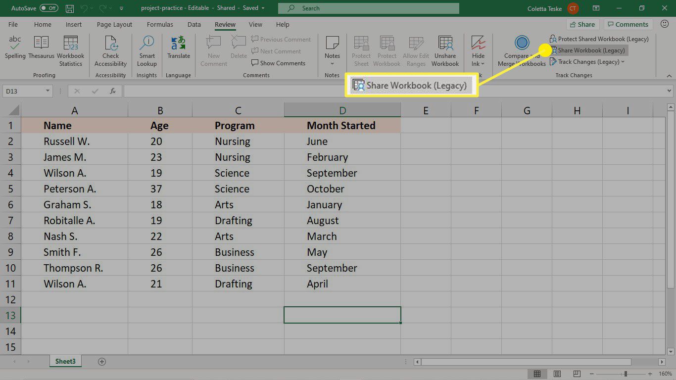Dela en Excel-arbetsbok
