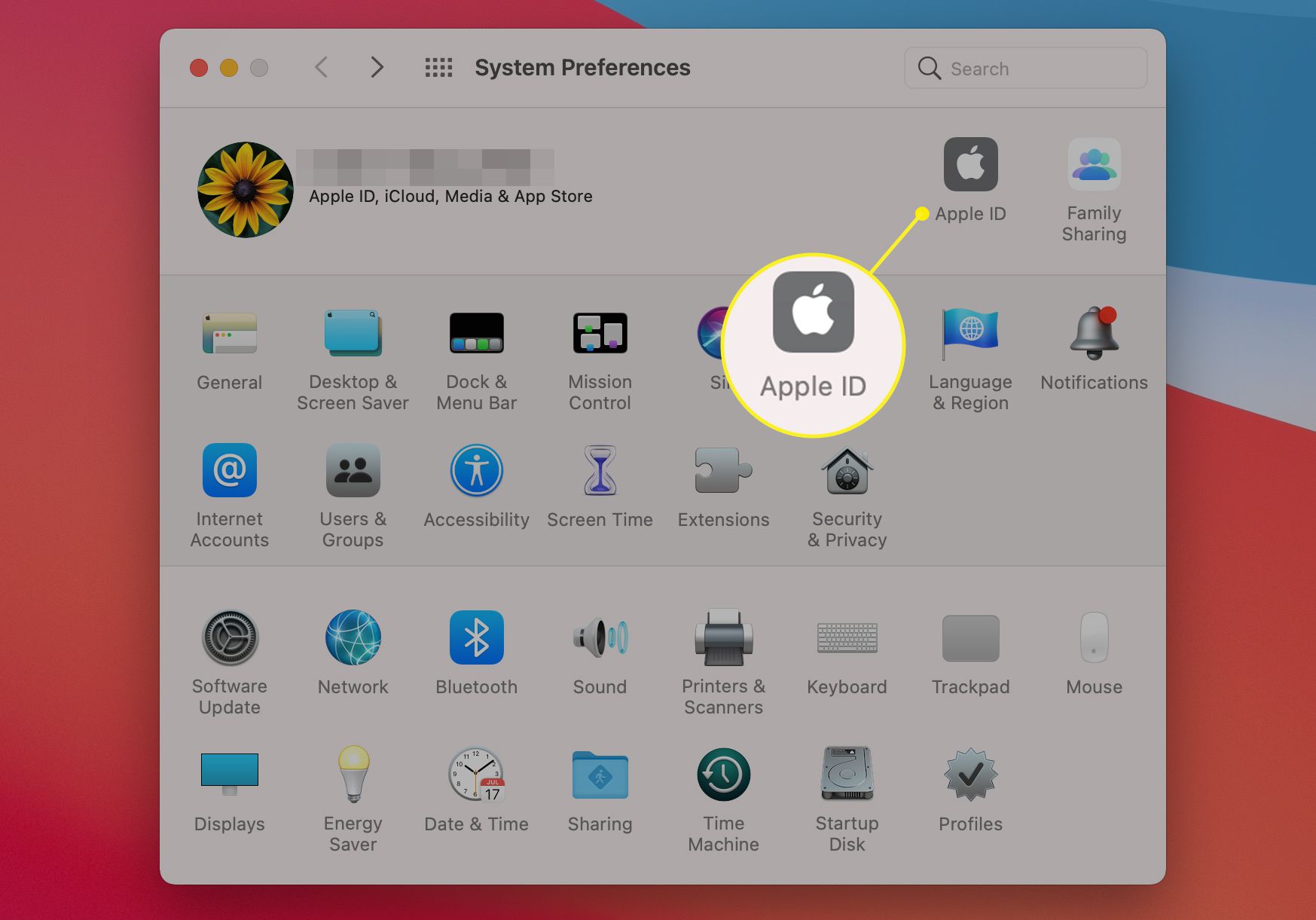 Mac-systeminställningar Visar Apple ID-ikon