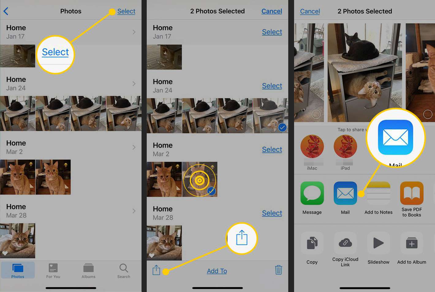 Photos-appen på en iPhone med Select, uppladdningsknappen och e-postikonerna markerade