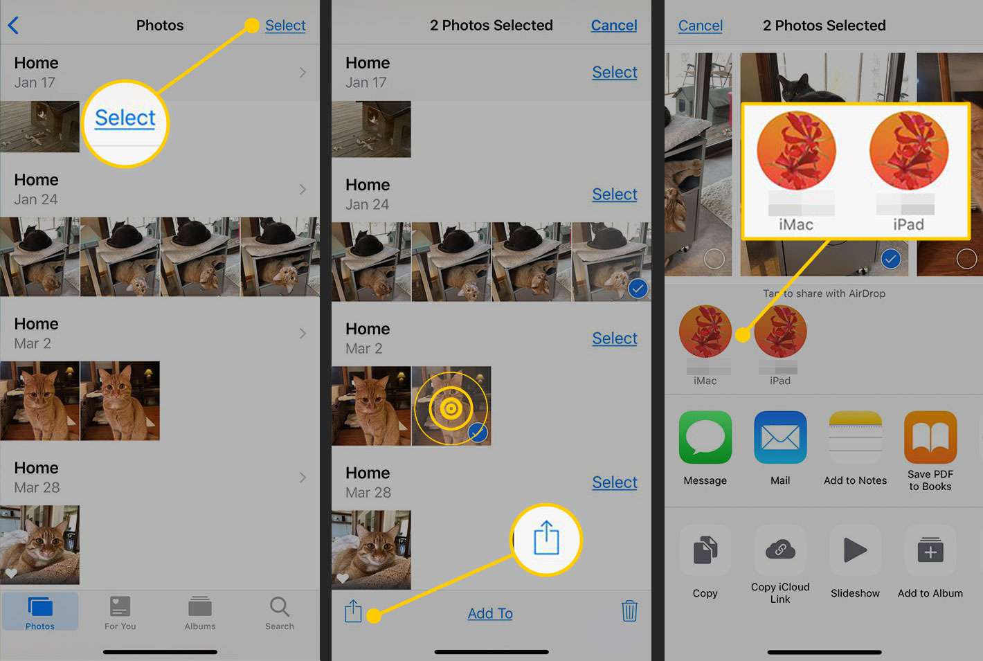 Photos-appen på en iPhone med Select, uppladdningsknappen och AirDrop-ikonerna markerade