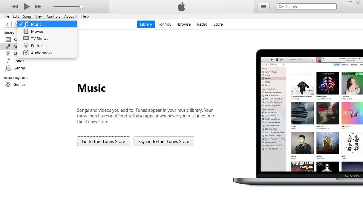 En skärmdump av iTunes Music-skärmen
