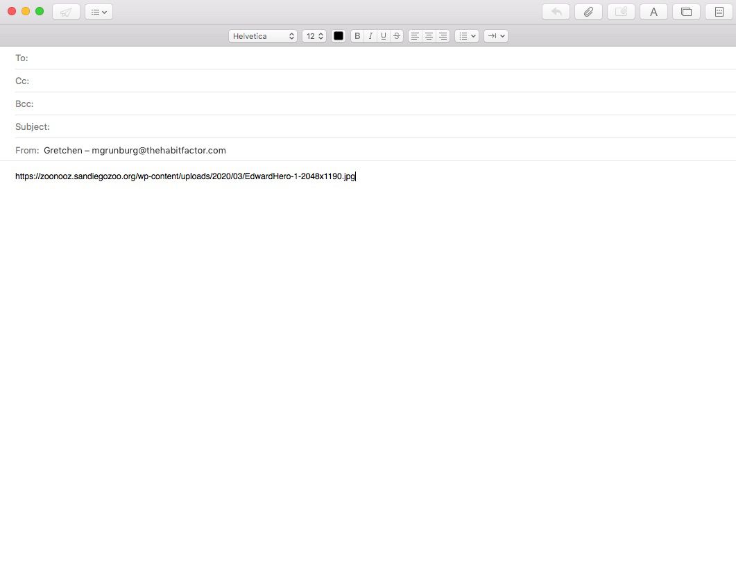Skärmdump för att kopiera en bilds URL i Chrome och klistra in i ett e-postmeddelande