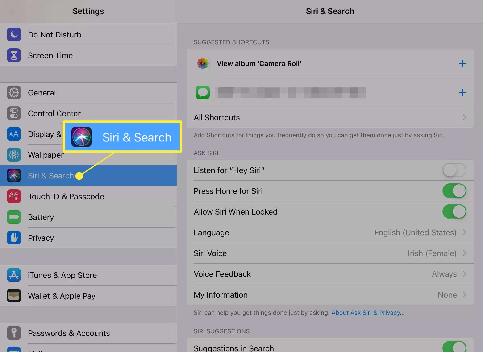 Siri & Search-ikonen på inställningsskärmen på iOS