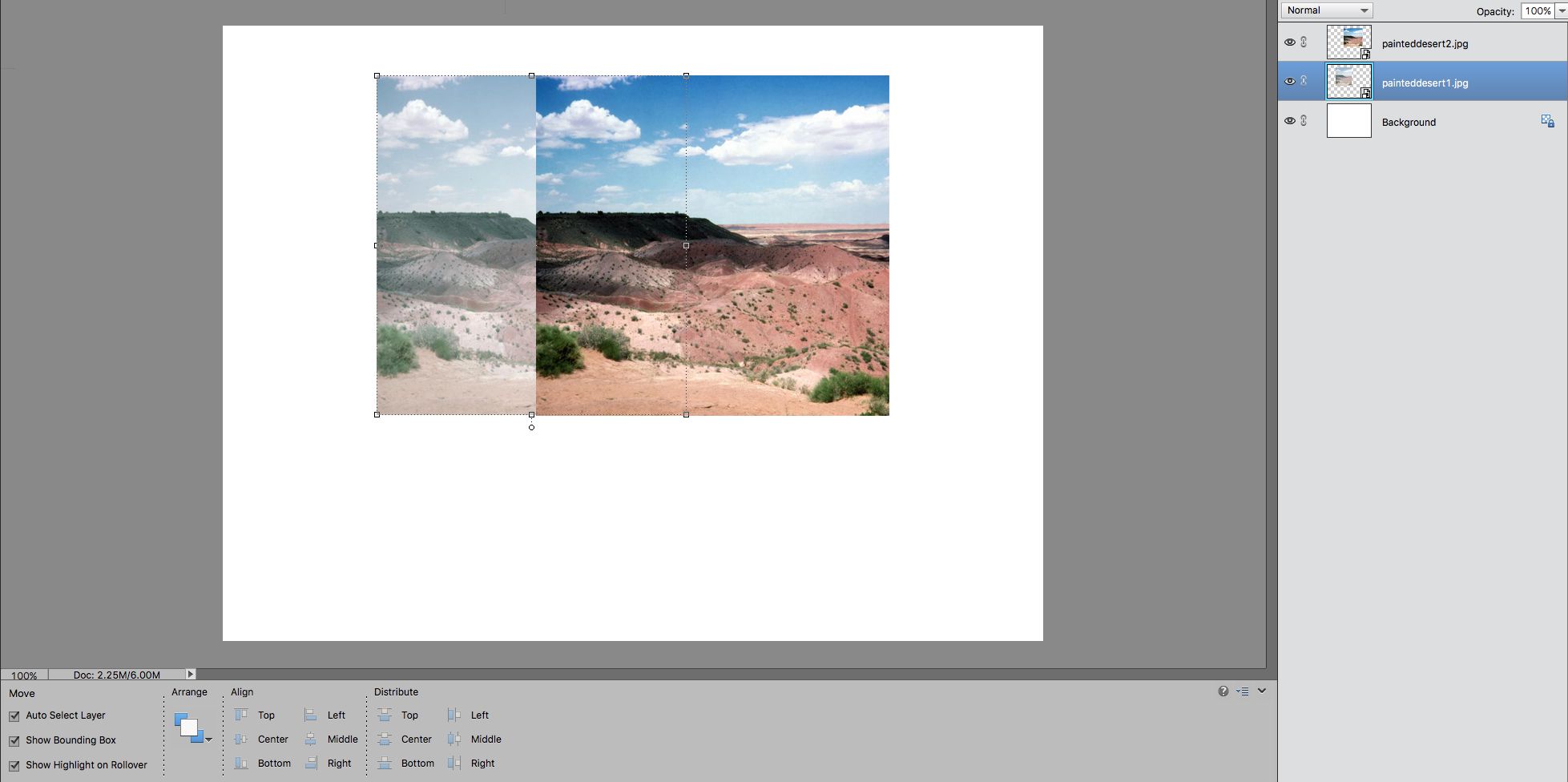 skärmdump som visar det nedre fotot är skalat för att matcha storleken på det översta fotot i Photoshop-element