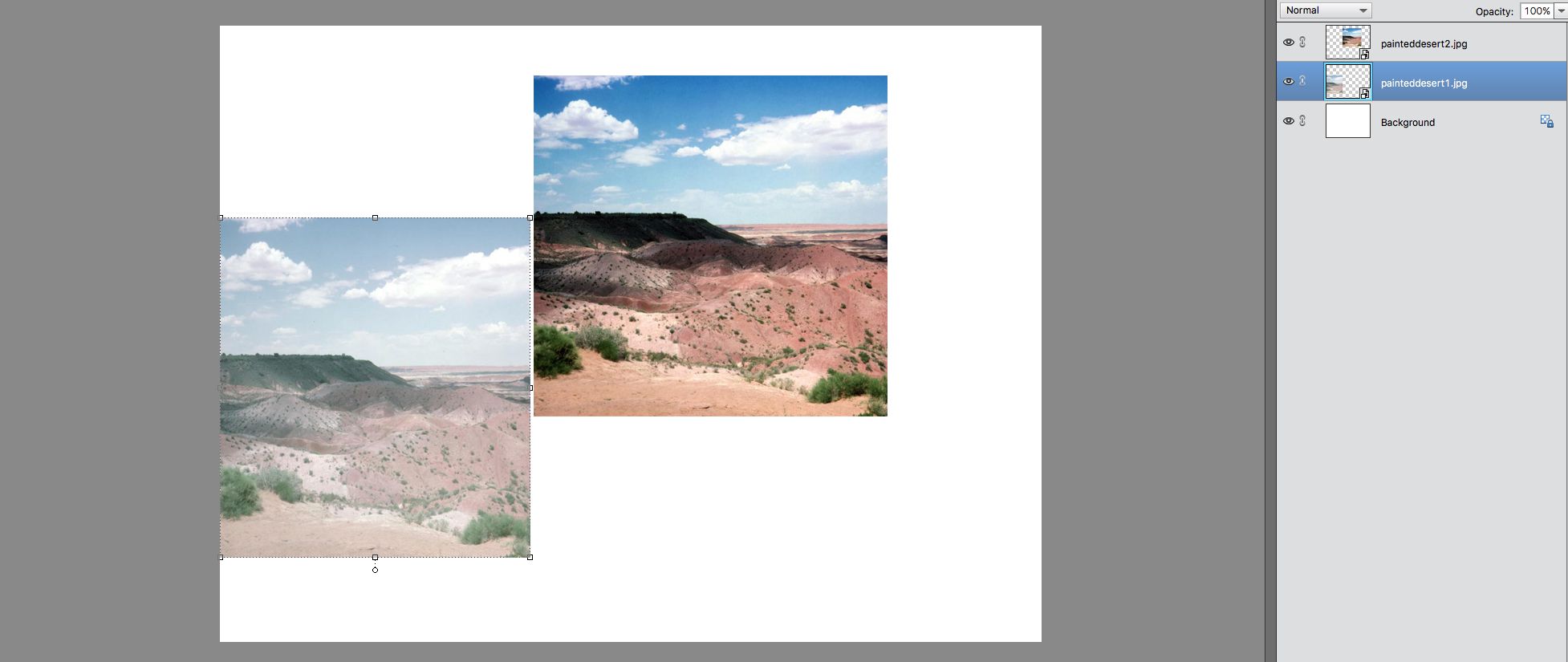 skärmdump som visar den bleka bilden flyttas till dukens vänstra kant i Photoshop-element