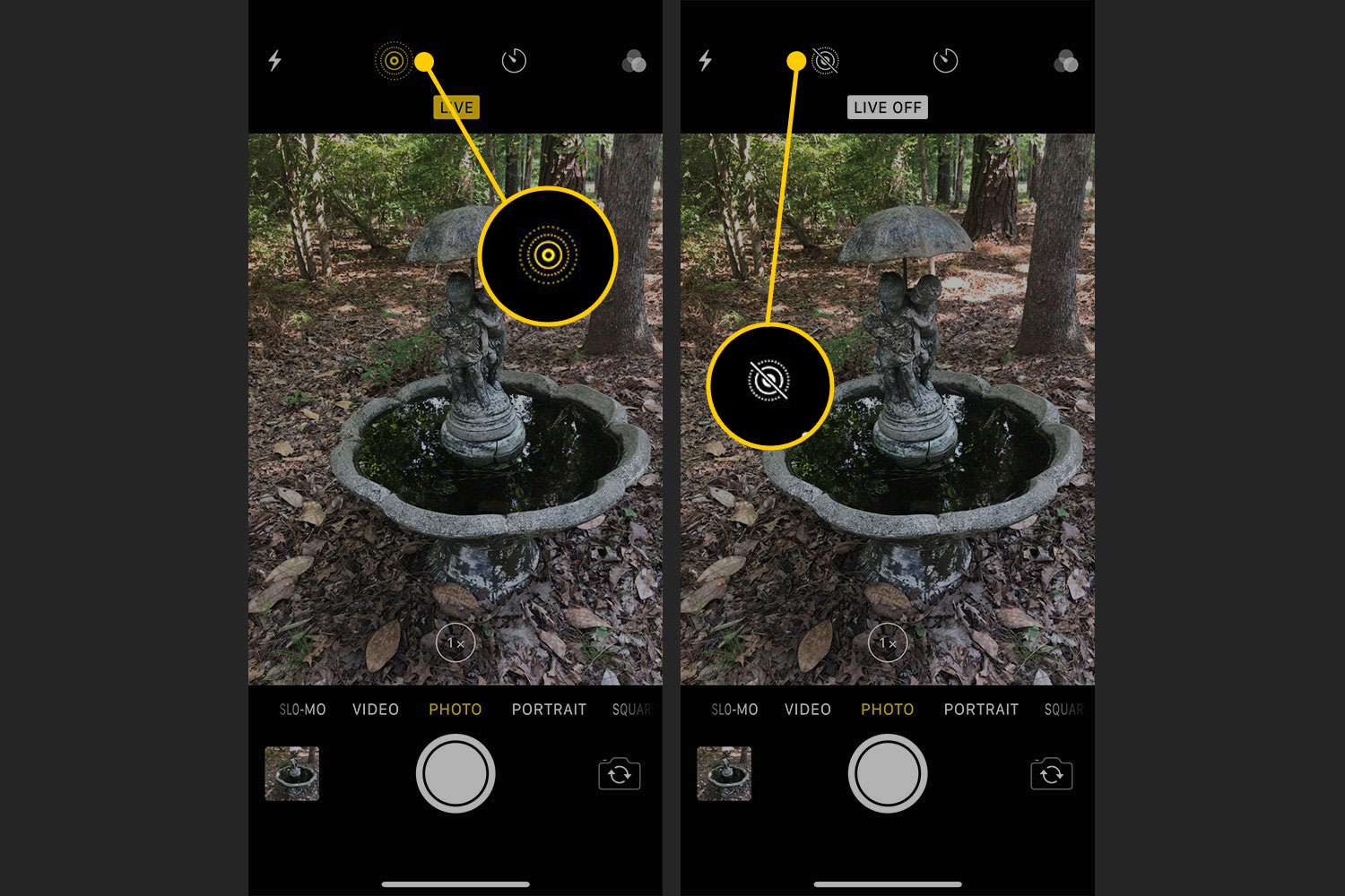 iOS-kameraapp med Live Photo-indikatorn markerad
