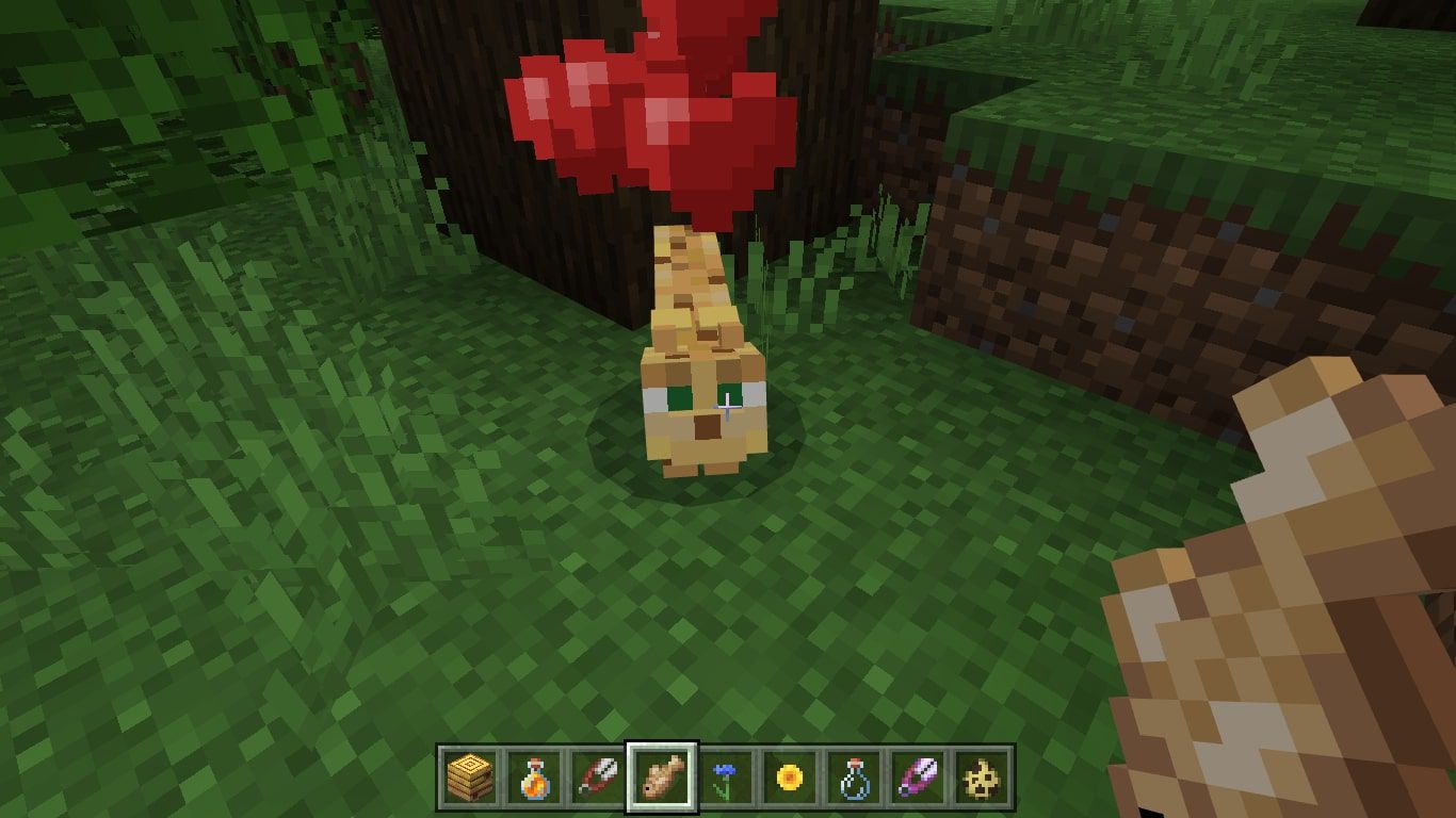 En tämjad ocelot med hjärtan över huvudet i Minecraft