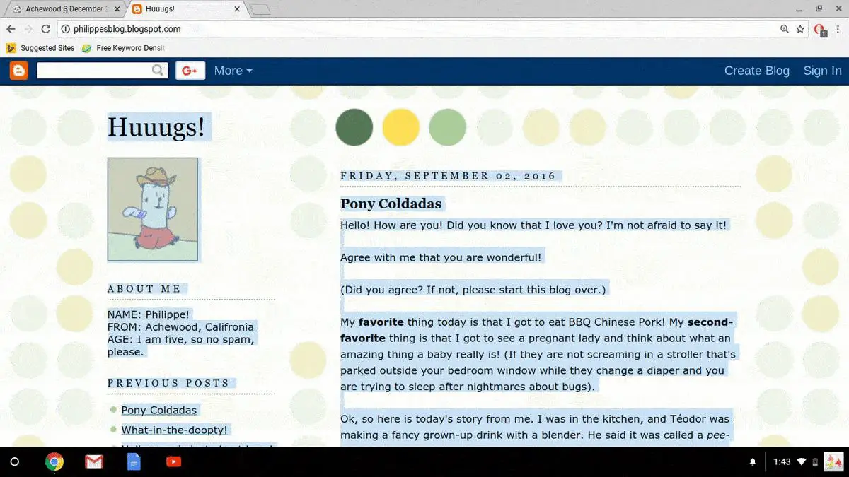 Webbsida med all text markerad på Chromebook