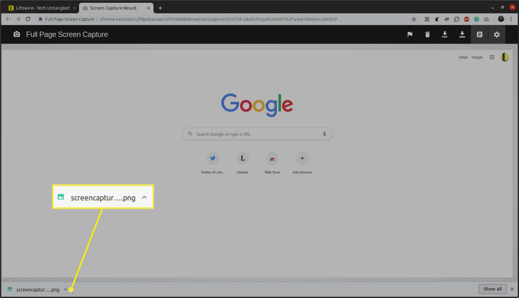 Skärmbildsresultatsida för webbläsartillägget Helskärmsläge för webbläsaren Google Chrome med nedladdningsdialogrutan