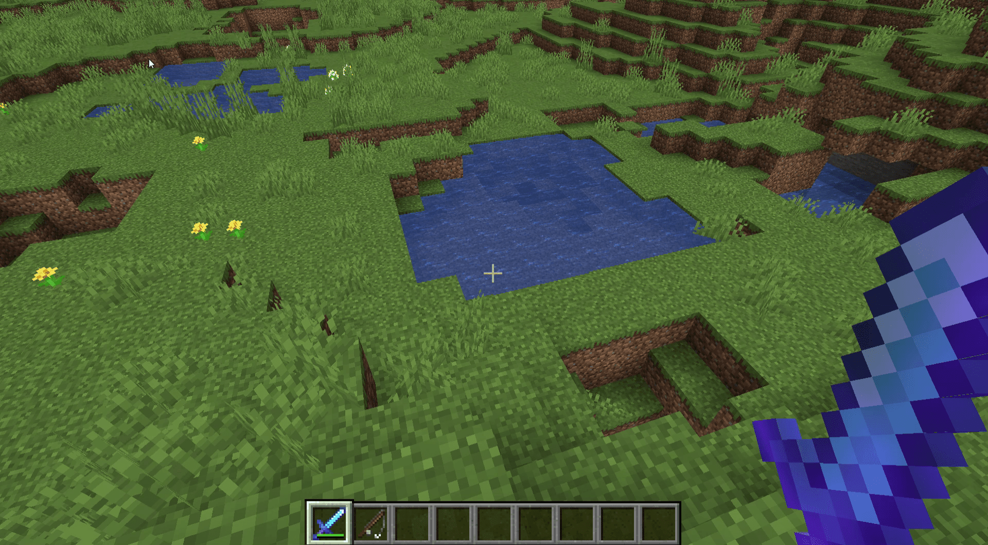 En skärmdump av en damm i Minecraft.