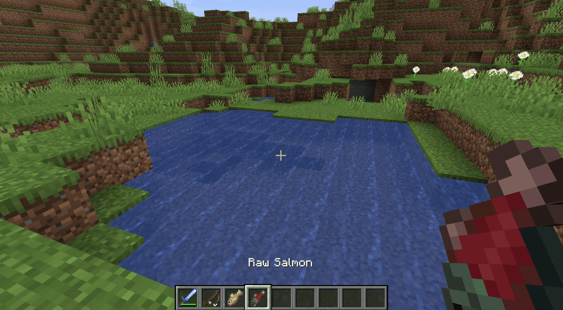 En skärmdump av en fisk i Minecraft.