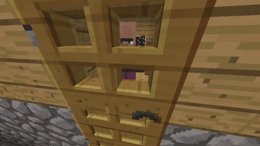 Minecraft Villager Doors