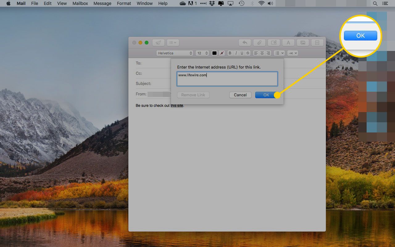 Dialogrutan Lägg till länk i Mail för macOS med OK-knappen markerad