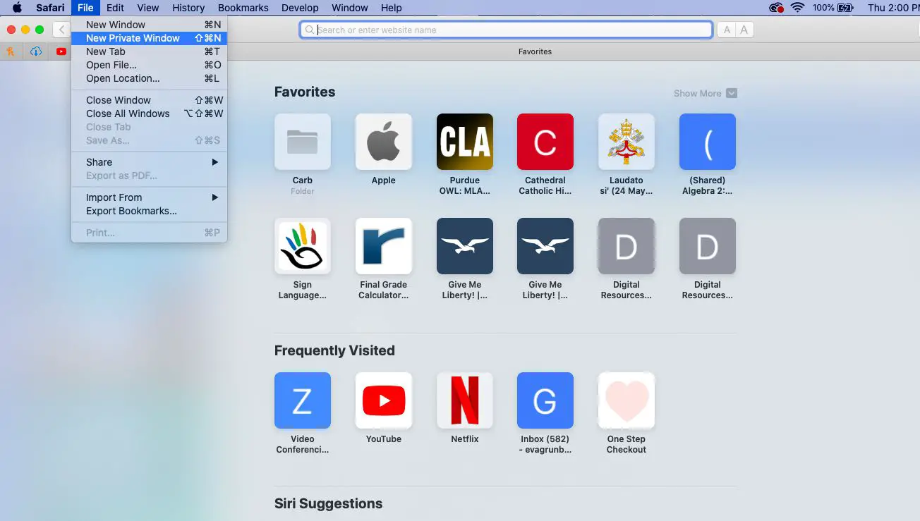 Gå in i privat surfläge i Safari på en Mac