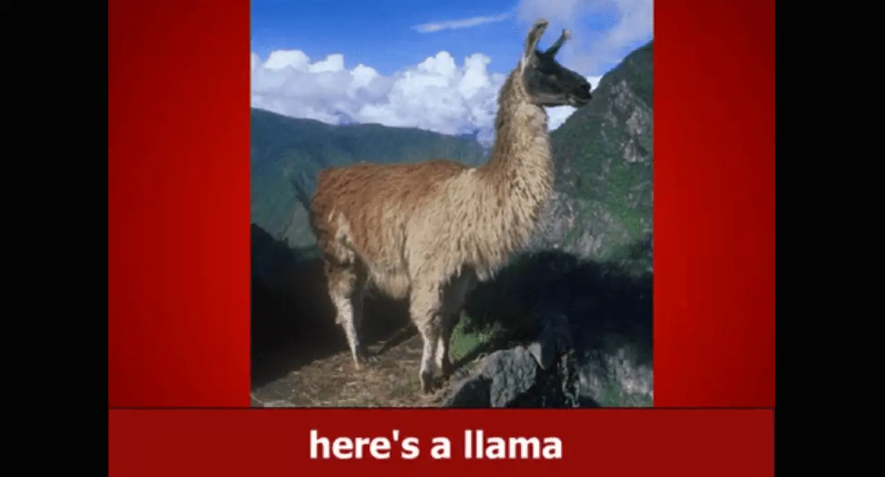 Skärmdump av Llama Song