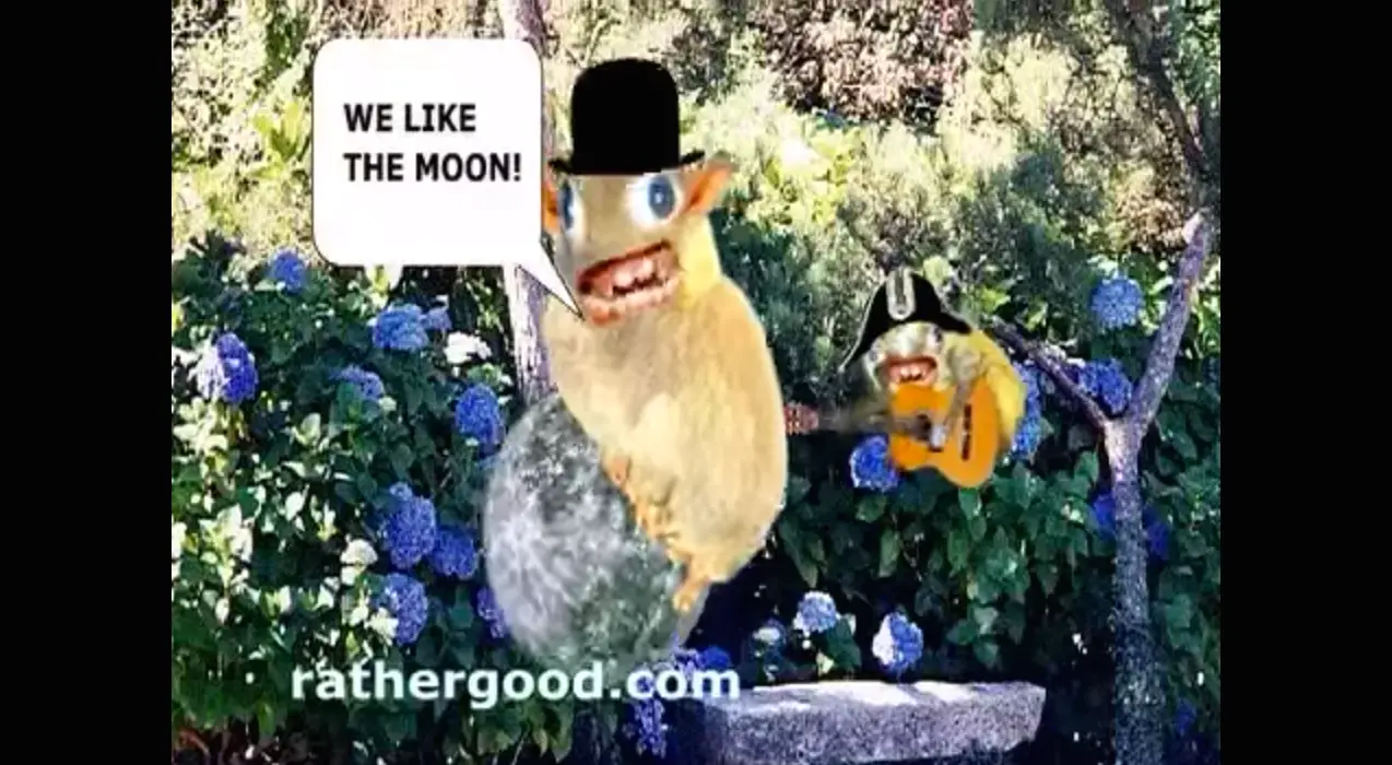 Skärmdump av We Like The Moon