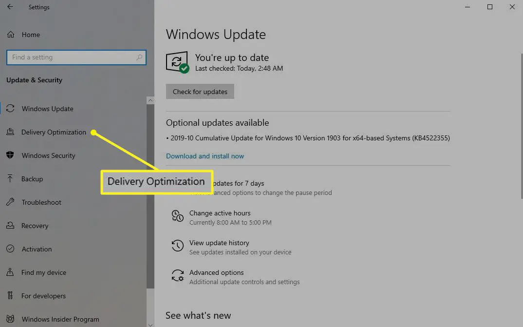 Uppdaterings- och säkerhetsskärmen i Windows med leveransoptimering markerad