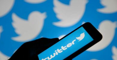 Varför experter är oroliga för Twitters fågelskådning 30 GettyImages 1128061434 8328b8246a1d48ffb84e225368f98bac