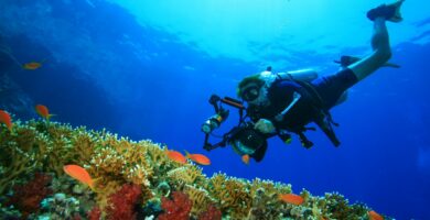 Tävlingen visar vad fotografer kan göra under vattnet 10 GettyImages 176808283 c2e7fd7ef55645e89165c997a252583a