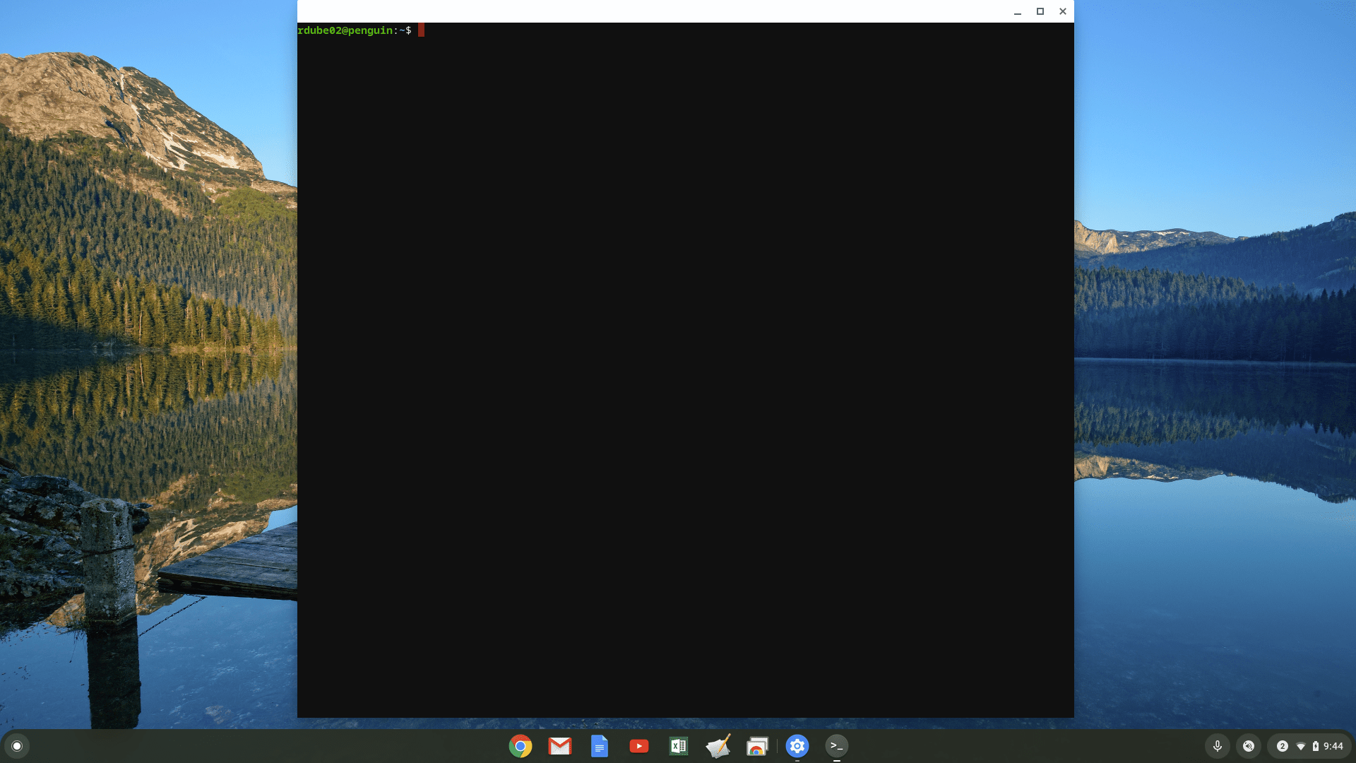 Skärmdump av Linux-terminal på Chromebook