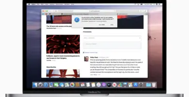 Hur en Apple-sökmotor kan skydda din integritet 28 ScreenShot2020 08 31at1.32.16PM 74ba766aceeb40ab88a031eddf887ab9