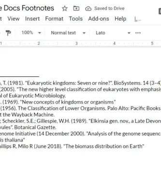google docs footnotes 79d144b4747d4c1c8ddbd71a2d08801e