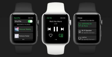 spotify for apple watch 5bf41d2fc9e77c00517d6653