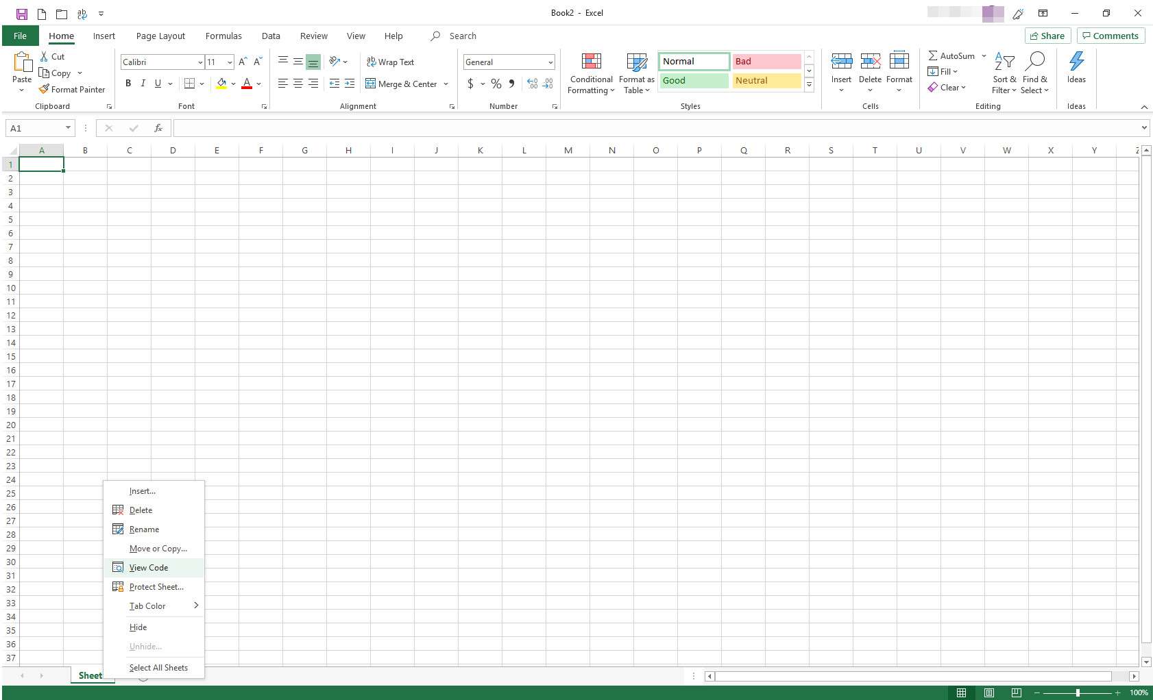 Excel med flikmenyn visas