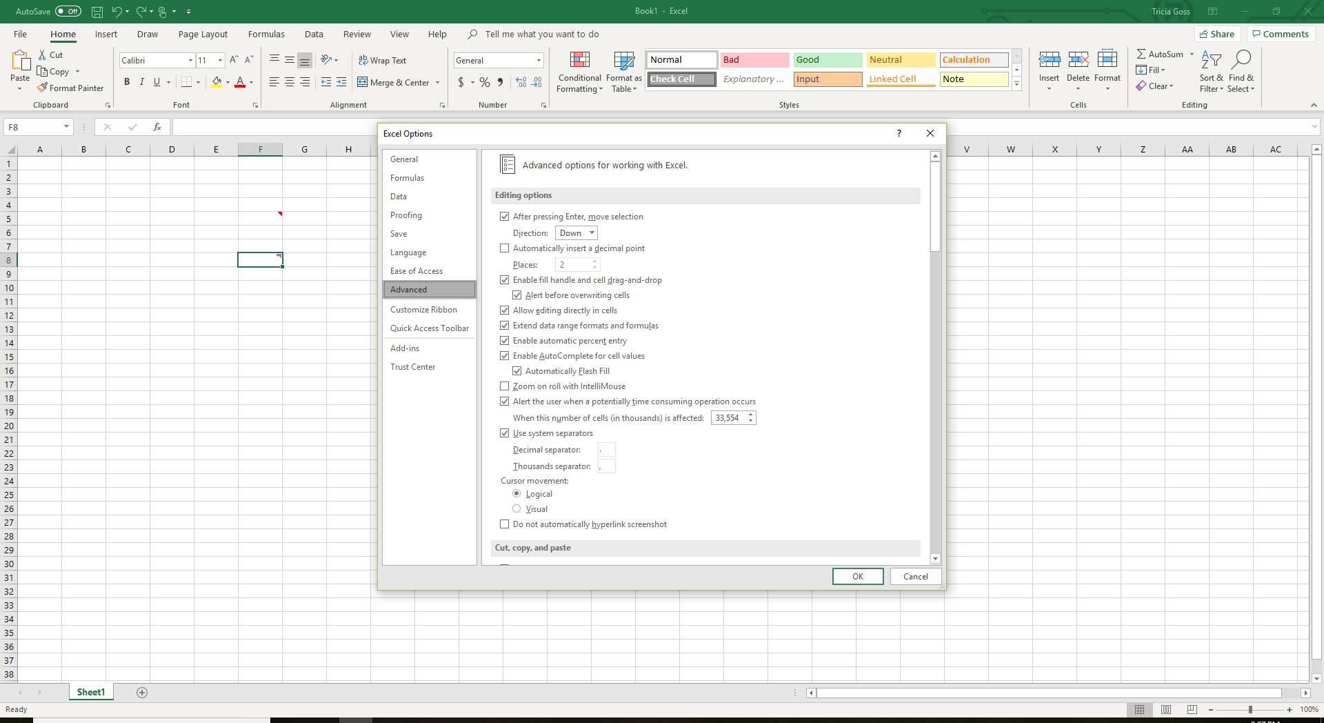 Skärmdump av fliken Avancerat i Excel-alternativ