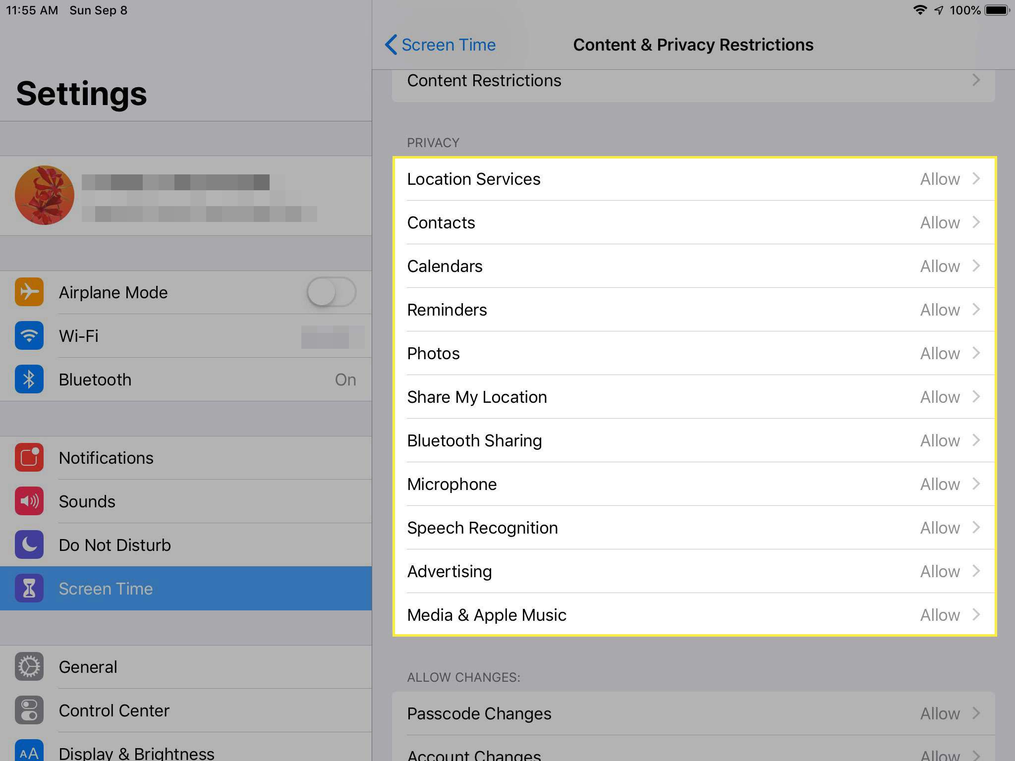 En skärmdump av begränsningar för innehåll och sekretess på en iPad med sekretessavsnittet markerat