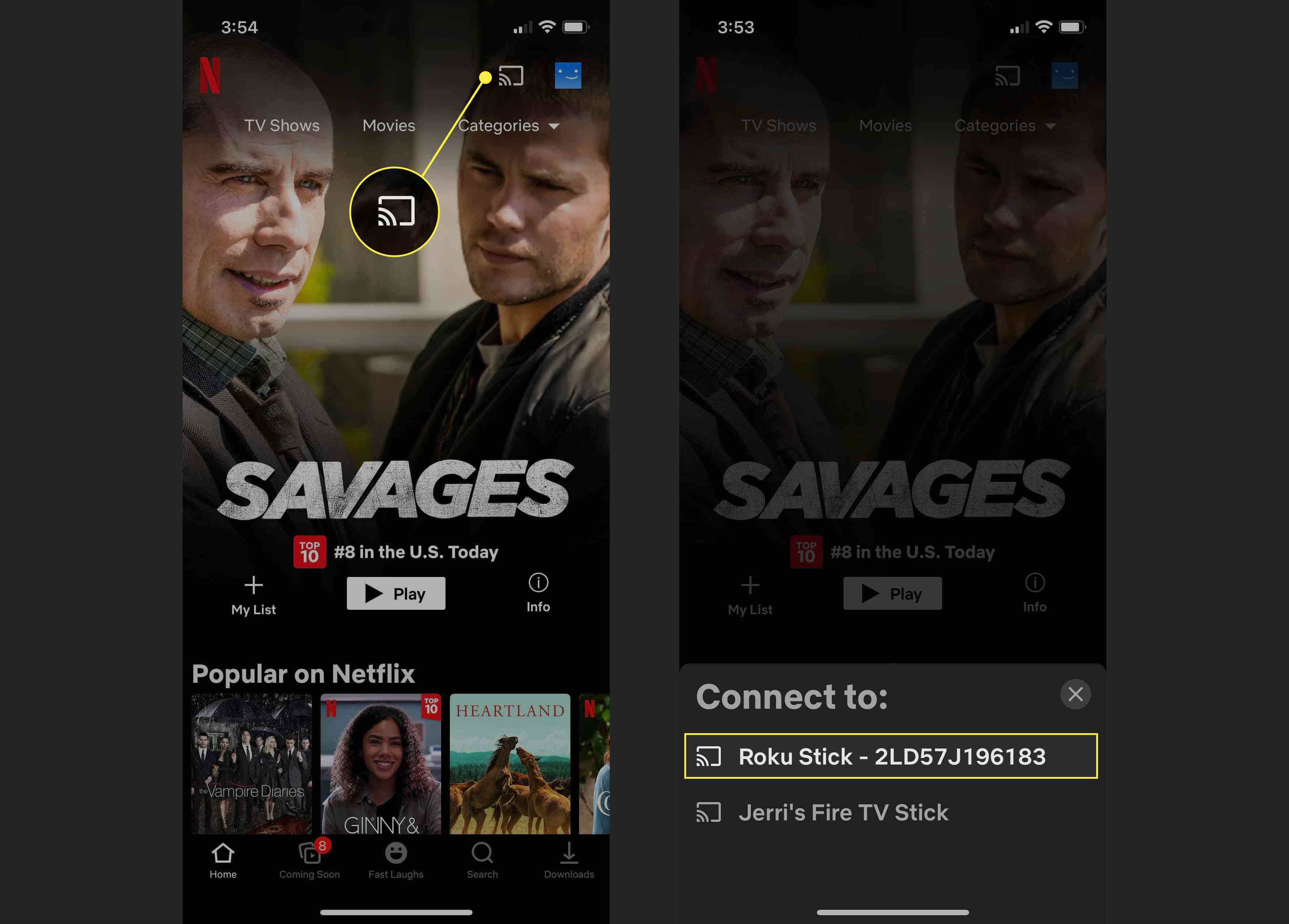 Castar Netflix till en Roku-enhet på en iPhone.