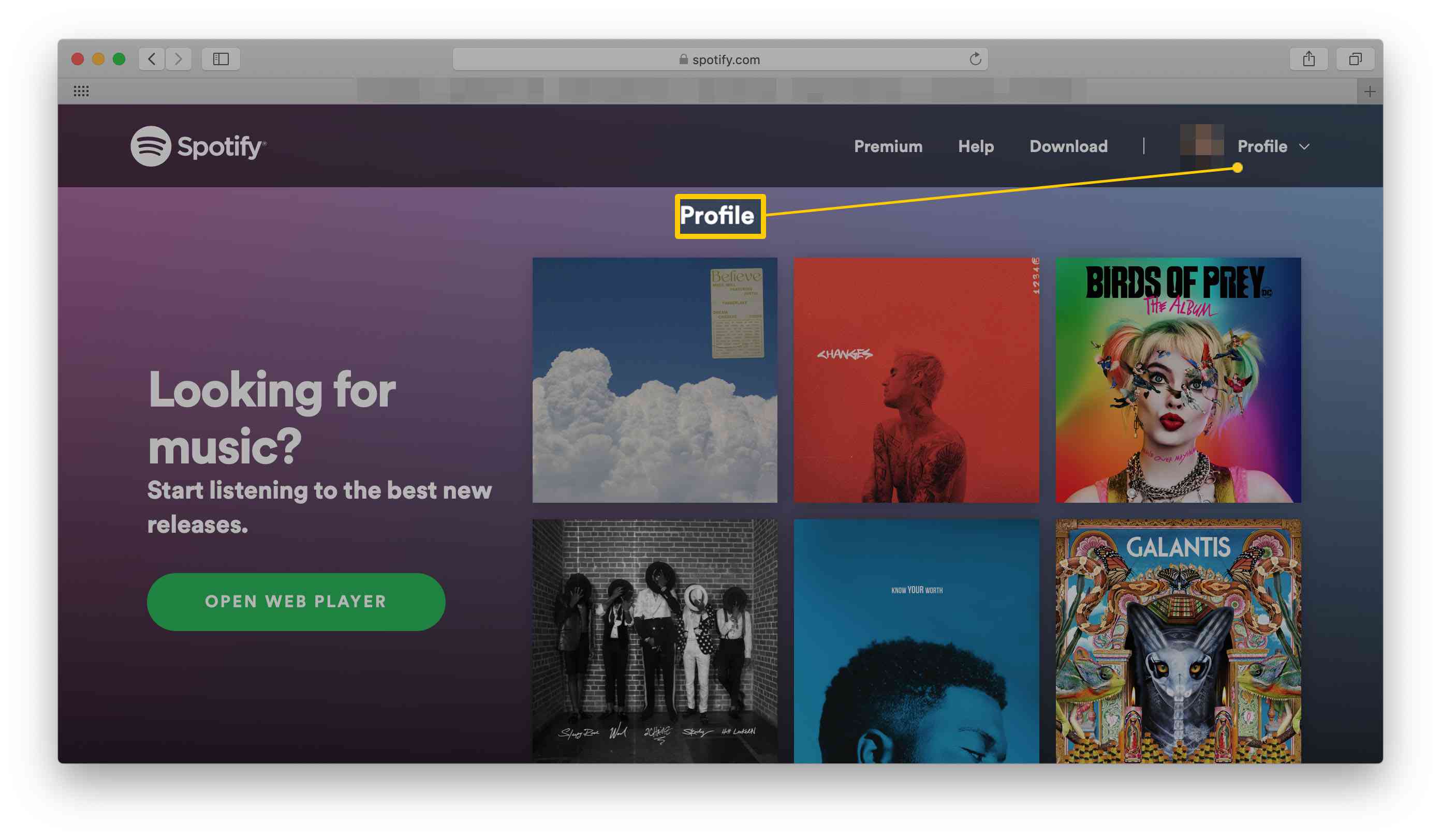 Spotify-hemsida med profil markerad