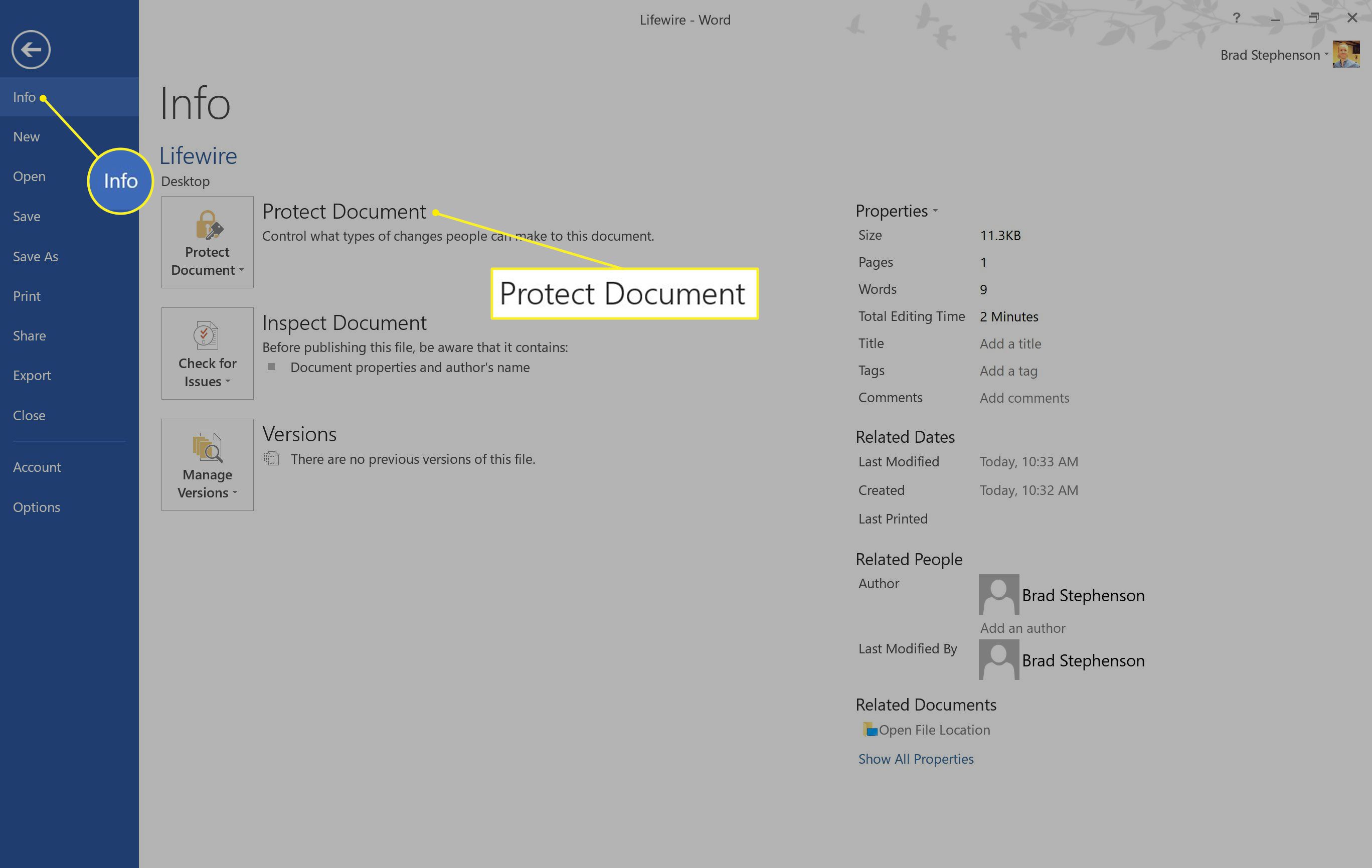 Word i Windows med Info och Protect Document markerat