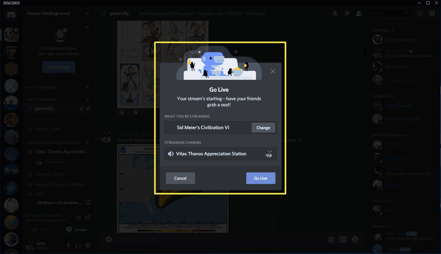 En skärmdump av Discord Go Live-skärmen.