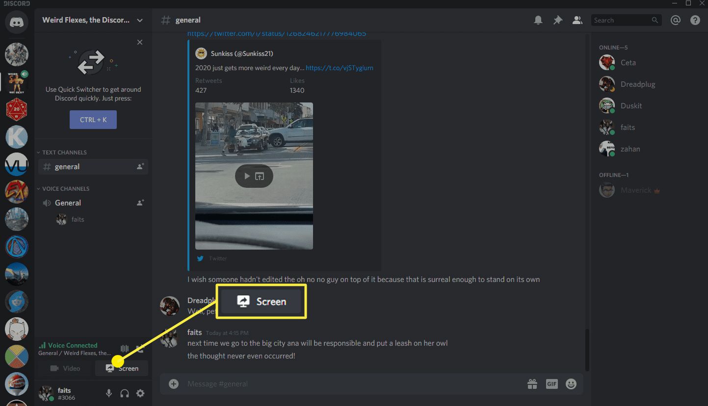 En skärmdump som visar hur du skärmar dela i Discord.