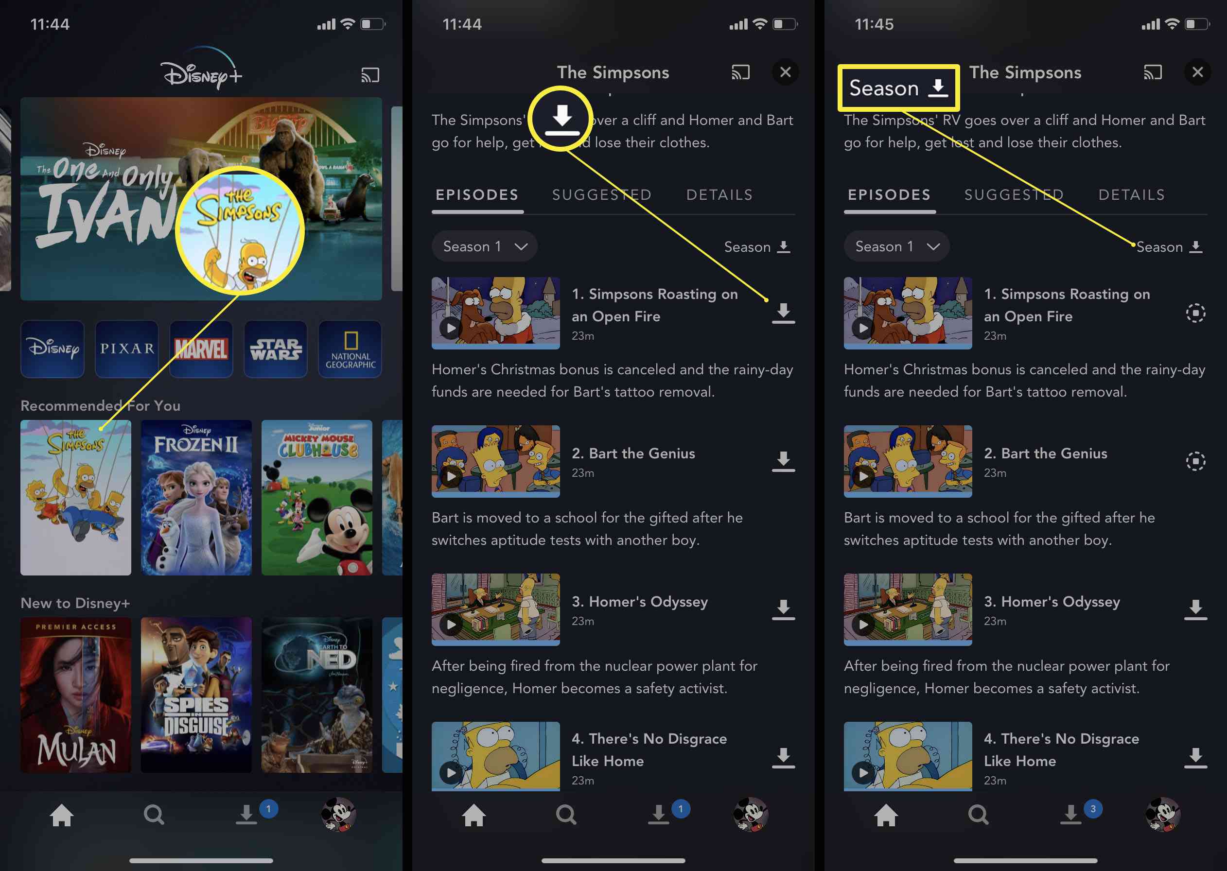 Åtgärder som krävs i Disney Plus-appen för att ladda ner avsnitt eller säsonger av en TV-show