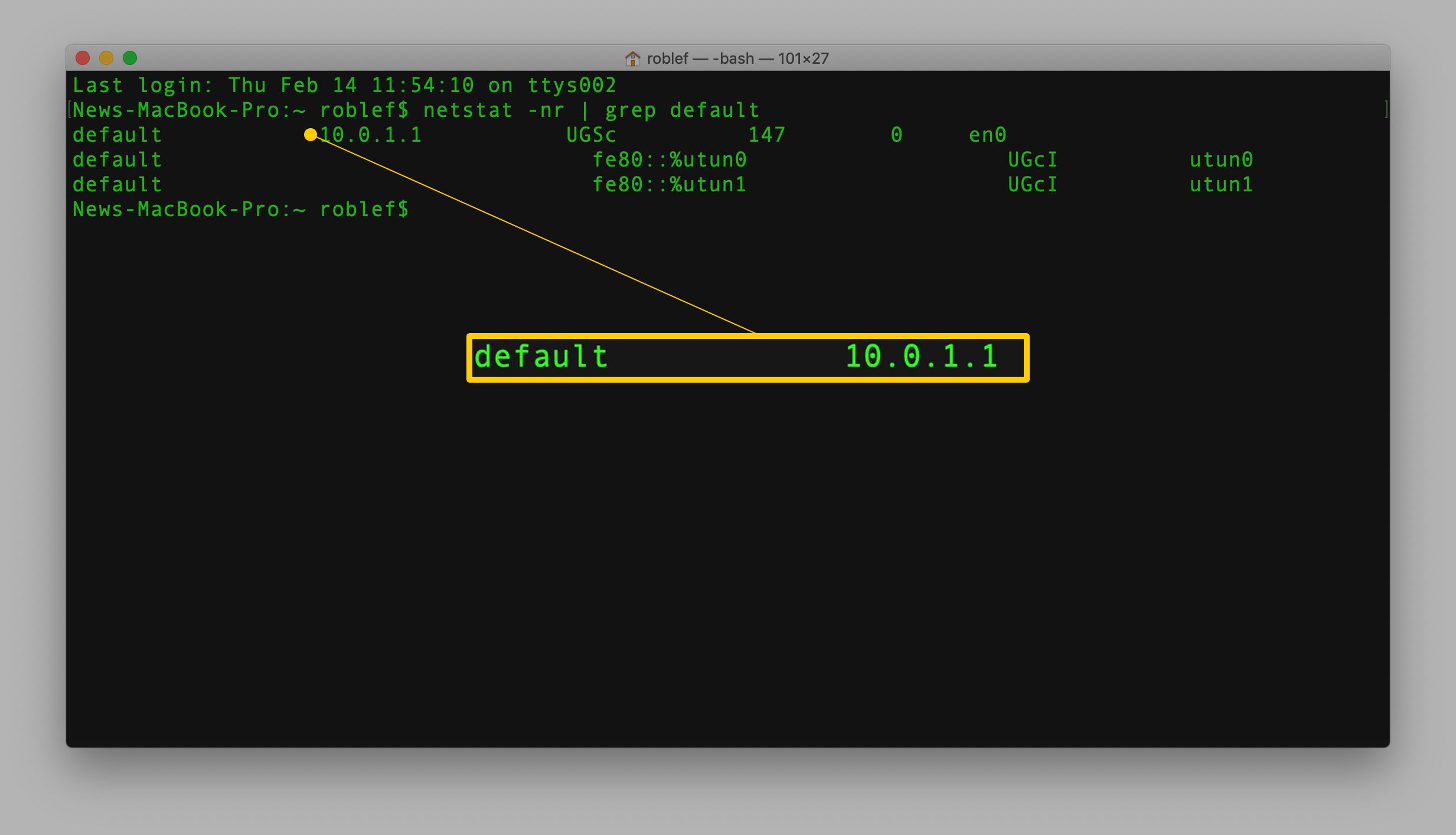 netstat-kommando i Terminal i macOS med standardresultat